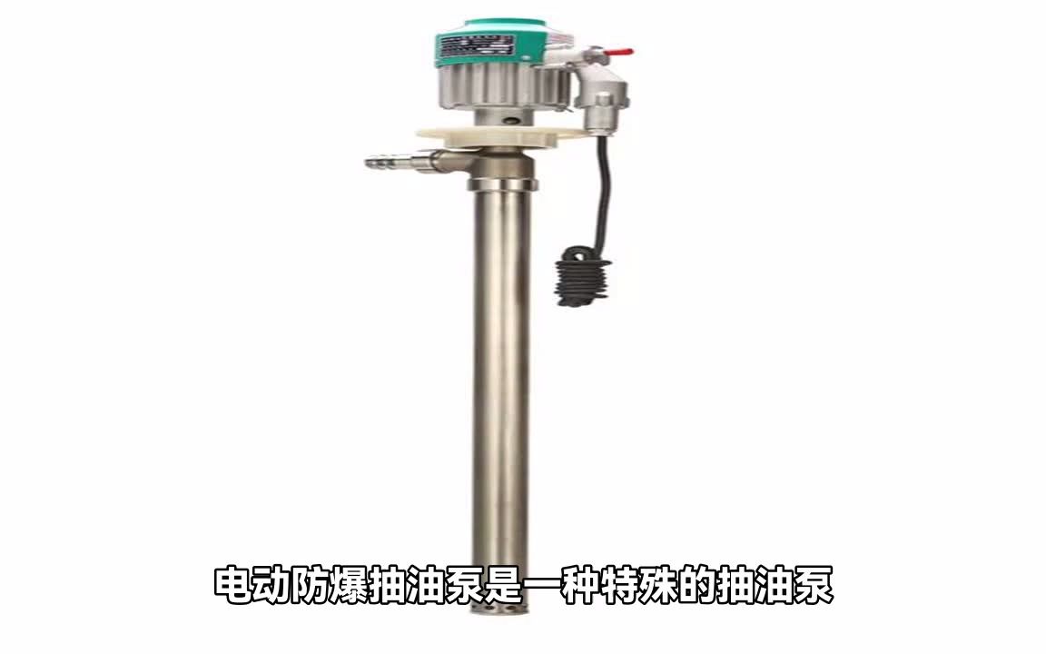 防爆電動(dòng)直流抽油泵 高效安全的抽油解決方案